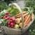 panier-bio.jpg