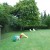 samson_gite-8.jpg