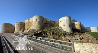 aaaab_chateau_guillaume_le_conquerant_8_falaise_calvados_normandie