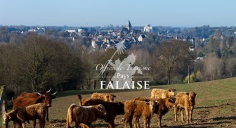 fb_vue_falaise_calvados_normandie