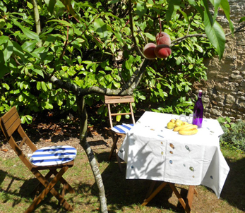 mennen-jardin.jpg