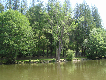 paysage.jpg