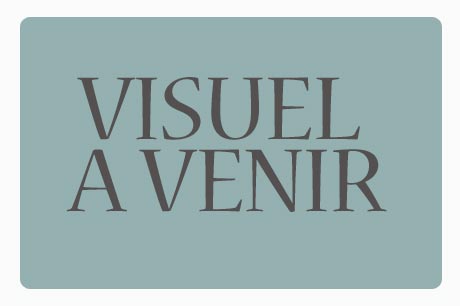 visuel-a-venir.jpg