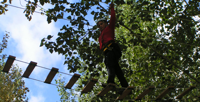 acrobranches
