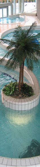 centre-aquatique