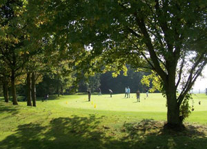 golf2