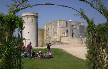 journee decouverte de falaise