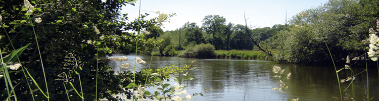 peche3