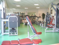 sallemuscu