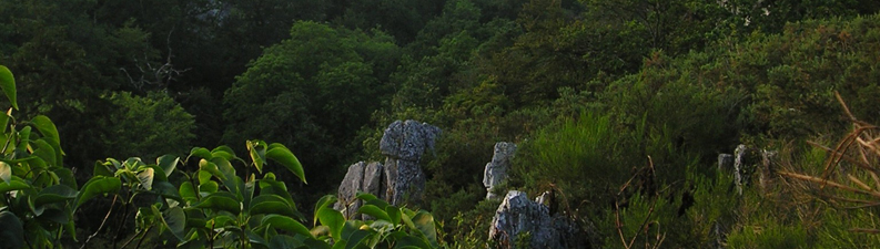 vuemaryjoli